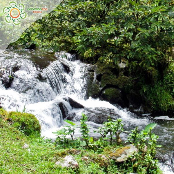 Sendero cascadas el Encanto Lago Calima - Imagen 5