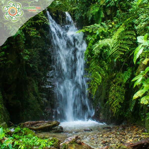 Sendero cascadas el Encanto Lago Calima - Imagen 3