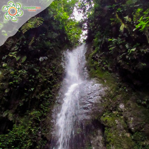 12 Cascadas del Duende - Imagen 2