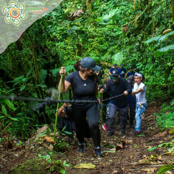 12 Cascadas del Duende - Imagen 4